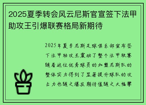 2025夏季转会风云尼斯官宣签下法甲助攻王引爆联赛格局新期待 2025夏季转会风云尼斯官宣签下法甲助攻王引爆联赛格局新期待