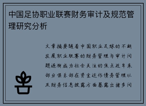 中国足协职业联赛财务审计及规范管理研究分析 中国足协职业联赛财务审计及规范管理研究分析